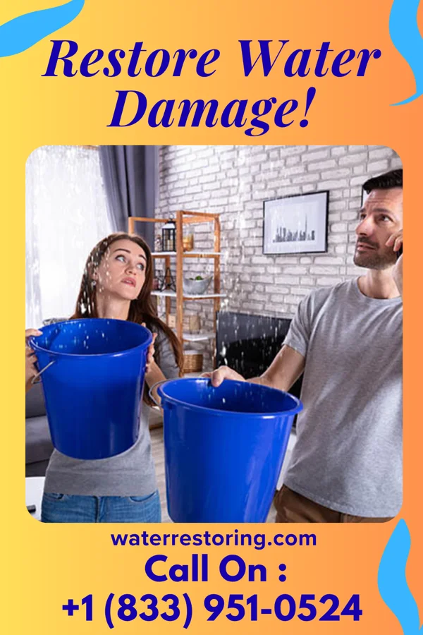 water restoration Ultimate Sewage Cleanup & Associates Marmet
