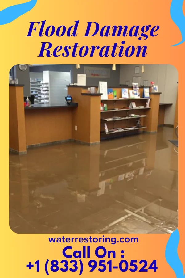 Flood Damage Restoration in Marmet, WV