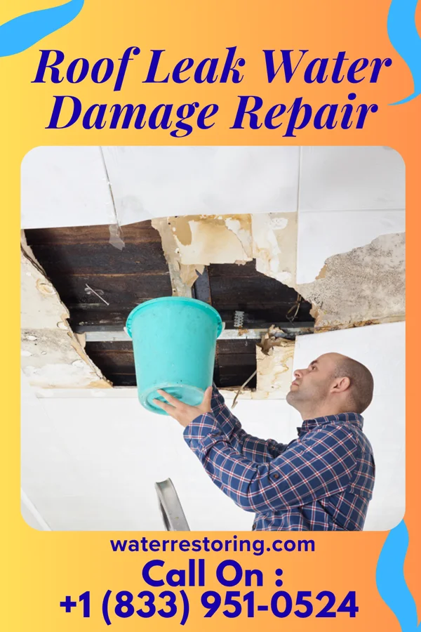 Roof Leak Water Damage Repair in Marmet, WV