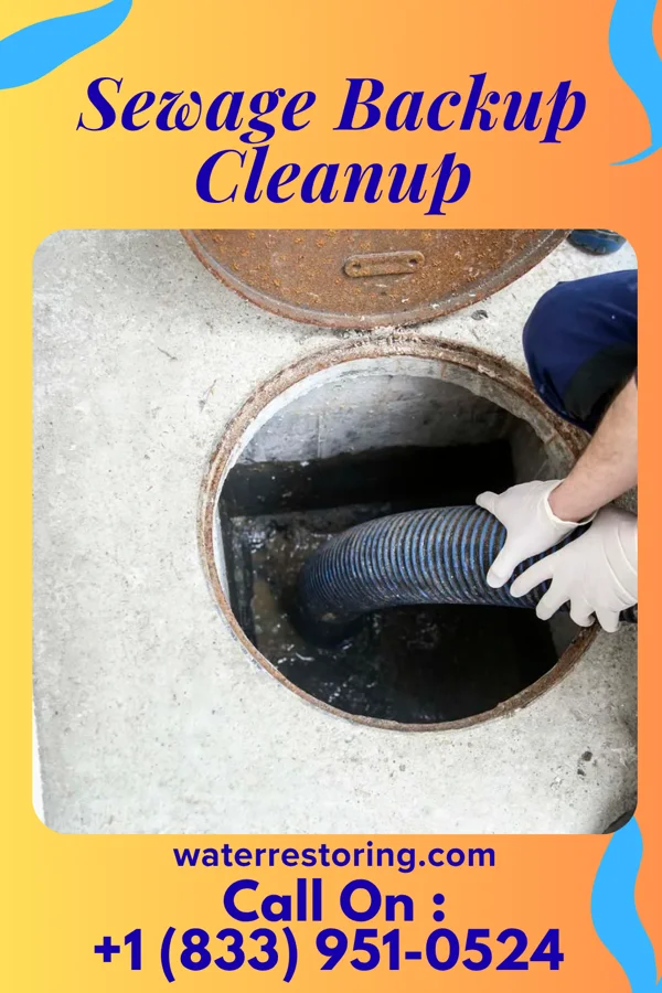 Sewage Backup Cleanup in Marmet, WV