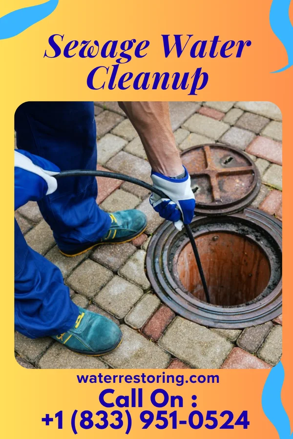 Sewage Water Cleanup in Marmet, WV