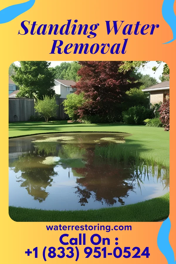 Standing Water Removal in Marmet, WV